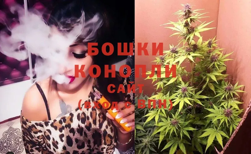 купить наркотики цена  Сольцы  Шишки марихуана White Widow 